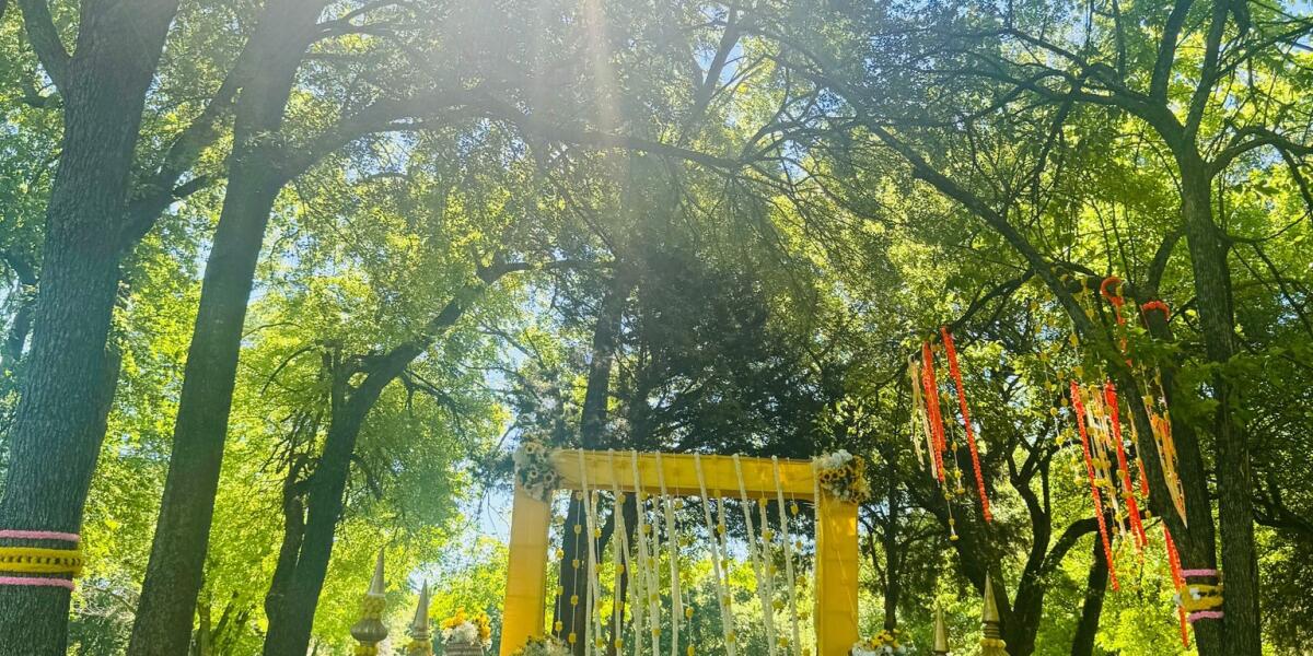 outdoor under trees Outdoor vs. Indoor Wedding Venues